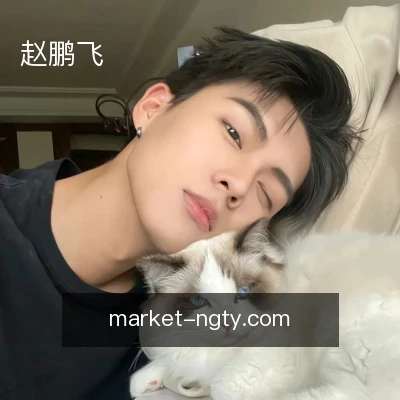 赵鹏飞